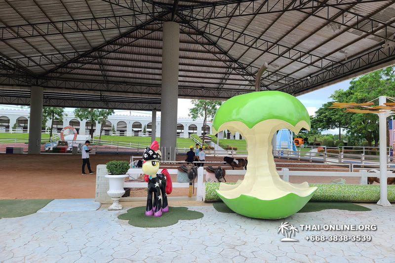Пони Клуб в Паттайе тур Pattaya Pipo Poni Club фото экскурсия 12