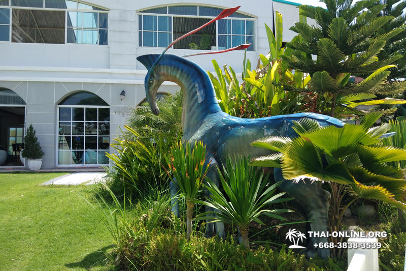 Пони Клуб в Паттайе тур Pattaya Pipo Poni Club фото экскурсия 7