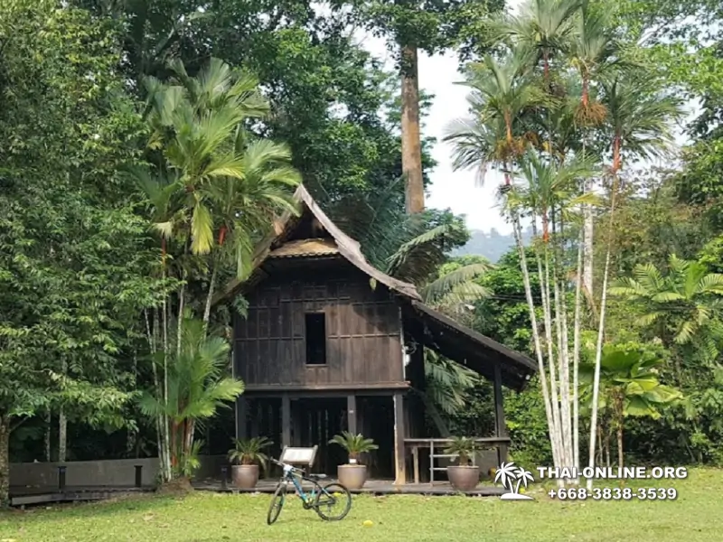 Малайзия поездка из Паттайи - фото Thai Online 1