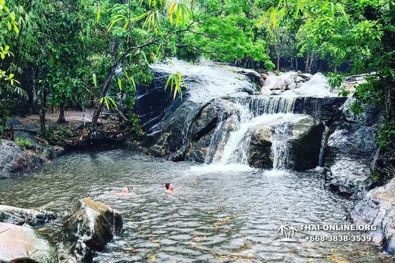 Тур Земля Королей и Альпака-Парк в Тайланде - фото поездки 1