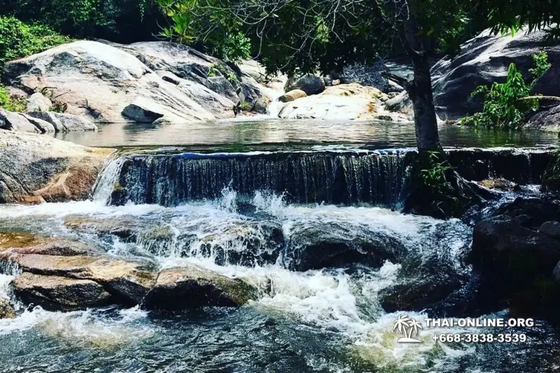Тур Земля Королей и Альпака-Парк в Тайланде - фото поездки 107