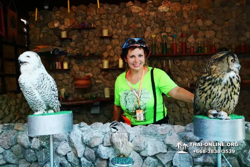 Альпака Парк экскурсия в Паттайе, однодневная тур программа Земля Королей и Альпака-Парк в Тайланде с компанией Magic Thai Online - фото 67