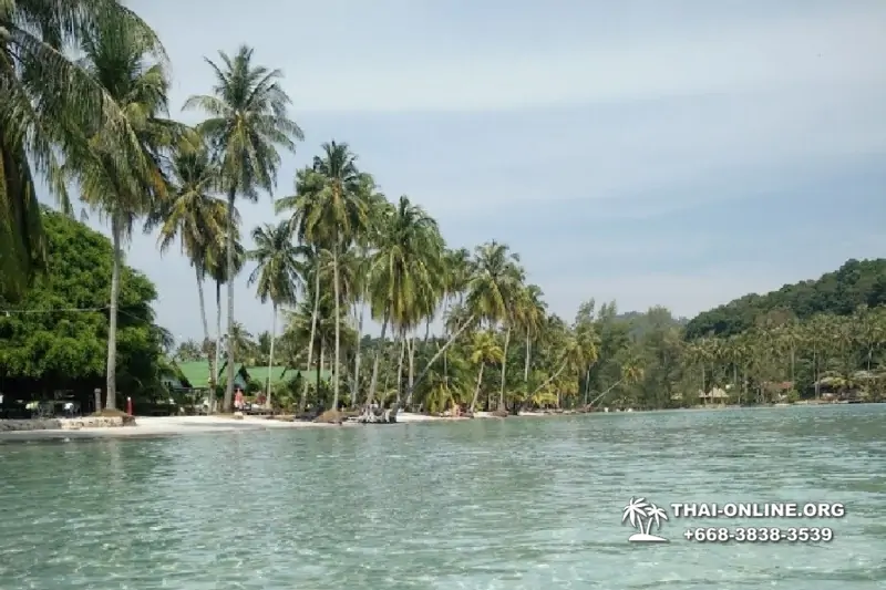 Ко Куд из Паттайи отель Klong Hin экскурсия компании Seven Countries в Патайе Таиланде фото 24