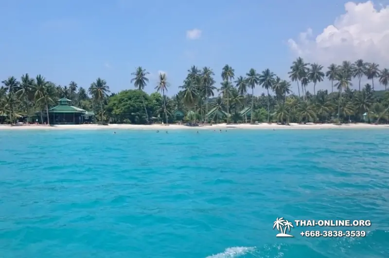 Ко Куд из Паттайи отель Klong Hin экскурсия компании Seven Countries в Патайе Таиланде фото 15