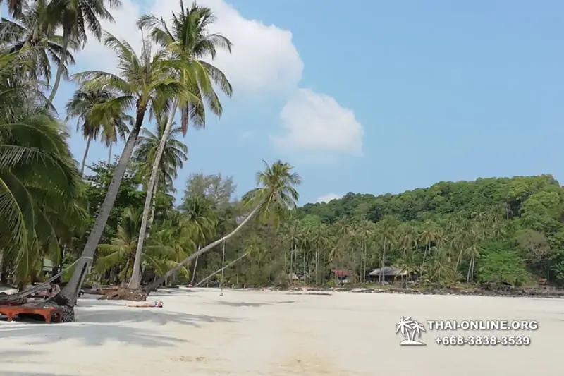 Ко Куд из Паттайи отель Klong Hin экскурсия компании Seven Countries в Патайе Таиланде фото 17