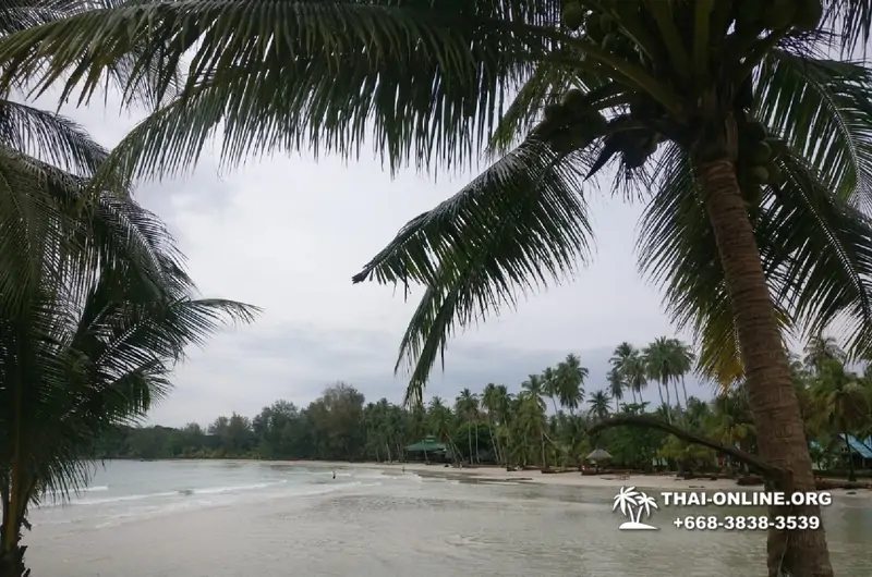 Ко Куд из Паттайи отель Klong Hin экскурсия компании Seven Countries в Патайе Таиланде фото 21