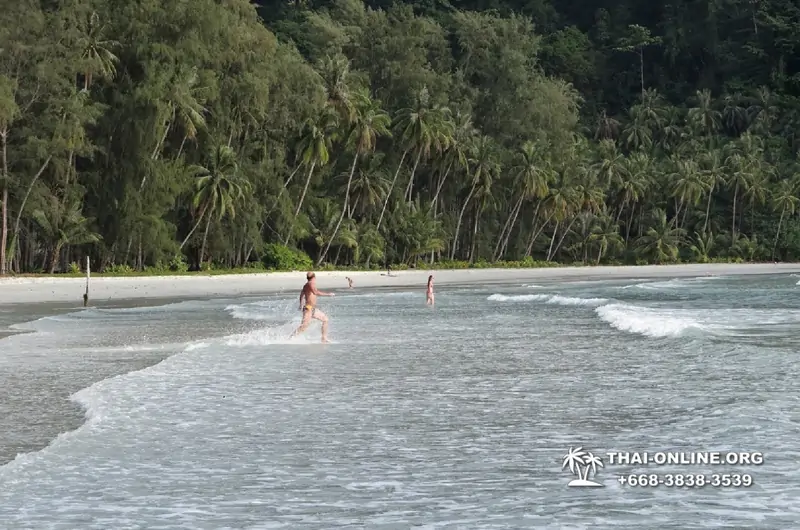 Ко Куд из Паттайи отель Klong Hin экскурсия компании Seven Countries в Патайе Таиланде фото 19