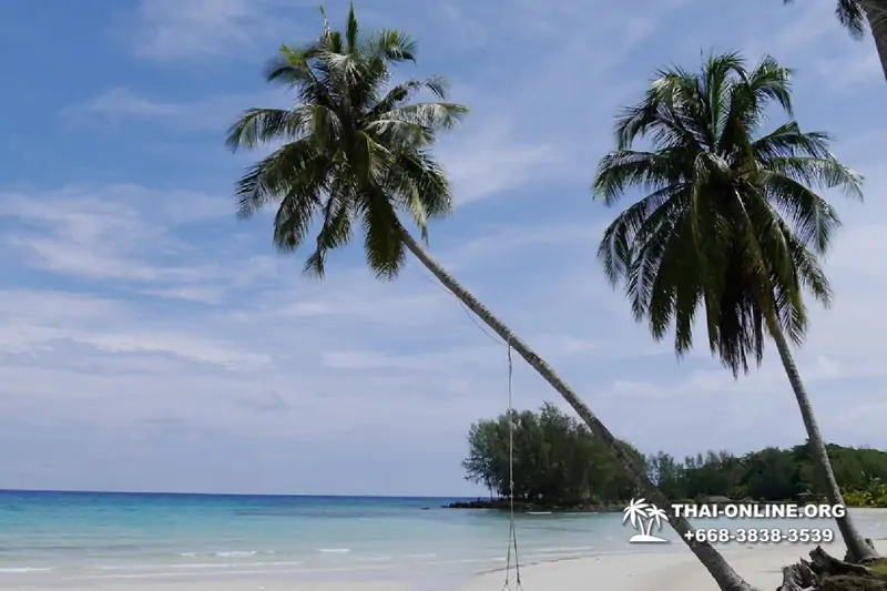Ко Куд из Паттайи отель Klong Hin экскурсия компании Seven Countries в Патайе Таиланде фото 10