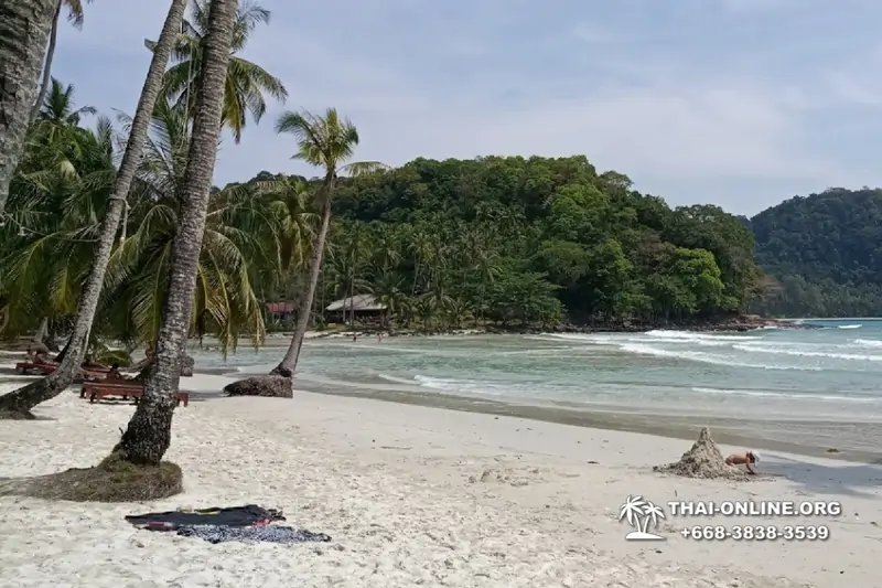 Ко Куд из Паттайи отель Klong Hin экскурсия компании Seven Countries в Патайе Таиланде фото 18
