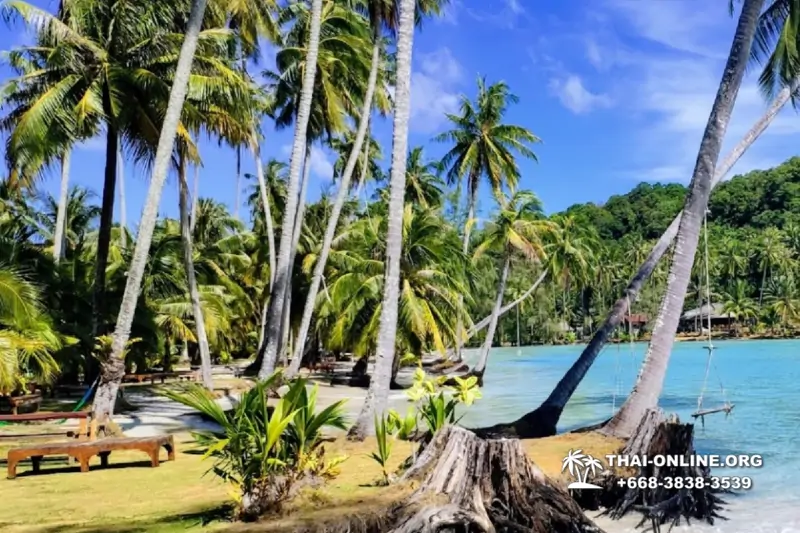 Ко Куд из Паттайи отель Klong Hin экскурсия компании Seven Countries в Патайе Таиланде фото 9