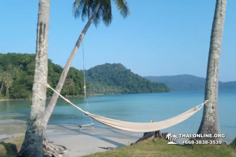 Ко Куд из Паттайи отель Klong Hin экскурсия компании Seven Countries в Патайе Таиланде фото 20