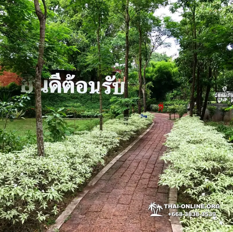 Над Облаками Паттайя Тайланд экскурсия в Петчабун Кхао Кхо фото 120