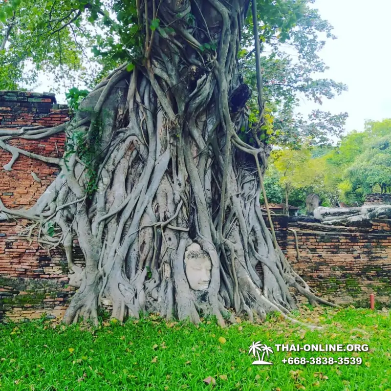 Айюттайя экскурсия турагентства Magic Thai Online в Паттайе фото 12