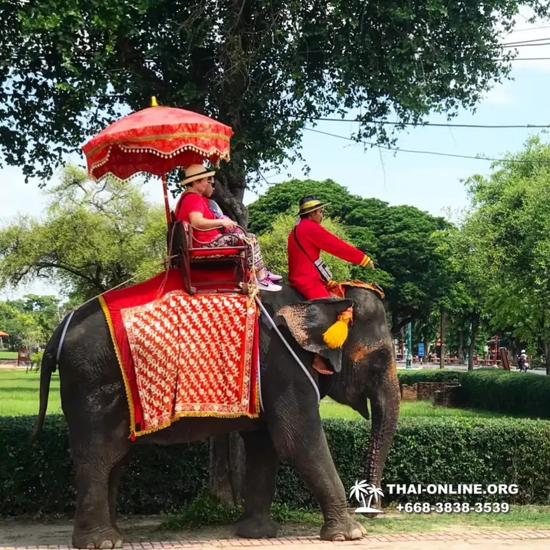 Айюттайя экскурсия турагентства Magic Thai Online в Паттайе фото 14