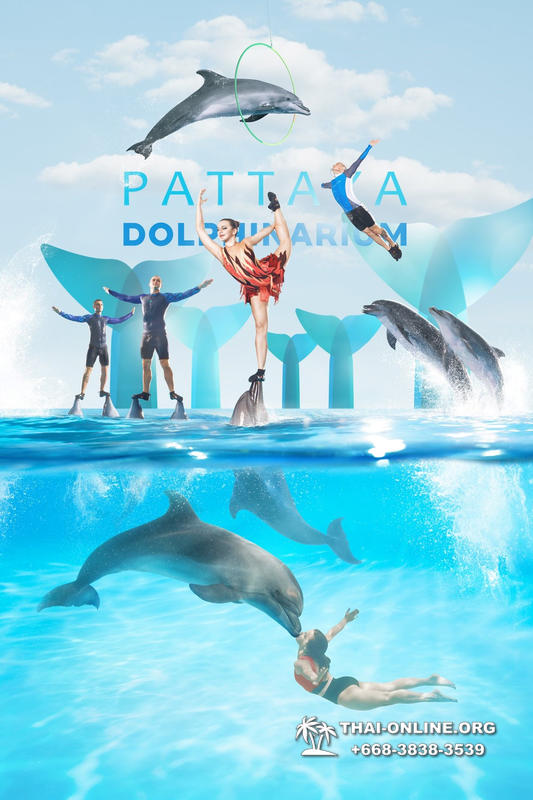 Дельфинарий Pattaya Dolphinarium экскурсия Magic Thai Online в Паттайе фото 33