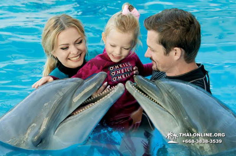 Дельфинарий Pattaya Dolphinarium экскурсия Magic Thai Online в Паттайе фото 15
