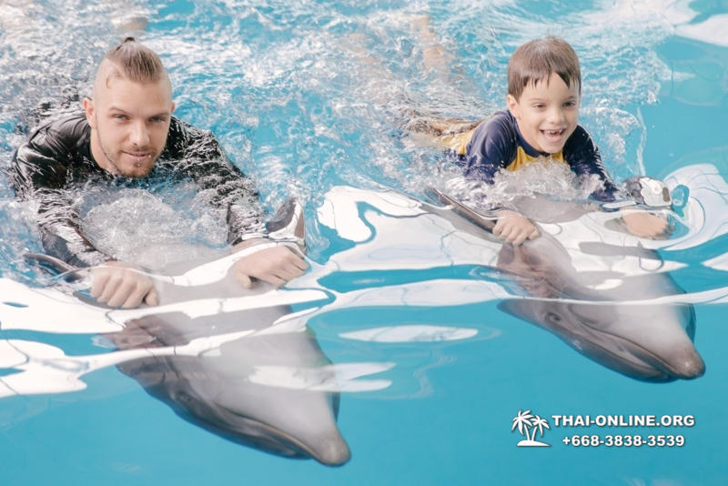 Дельфинарий Pattaya Dolphinarium экскурсия Magic Thai Online в Паттайе фото 32