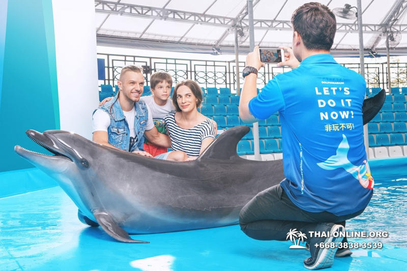 Дельфинарий Pattaya Dolphinarium экскурсия Magic Thai Online в Паттайе фото 13