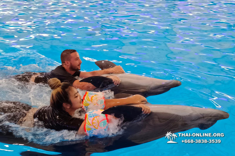 Дельфинарий Pattaya Dolphinarium экскурсия Magic Thai Online в Паттайе фото 10