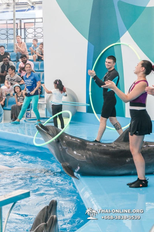 Дельфинарий Pattaya Dolphinarium экскурсия Magic Thai Online в Паттайе фото 30