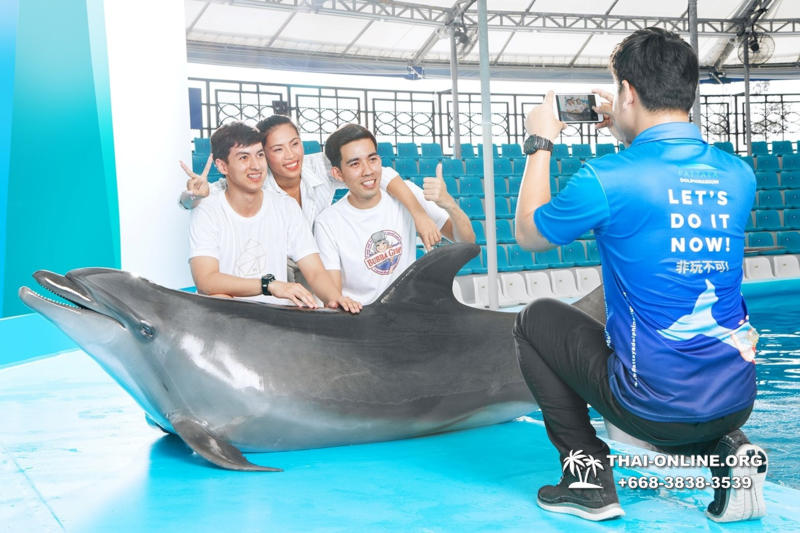 Дельфинарий Pattaya Dolphinarium экскурсия Magic Thai Online в Паттайе фото 17