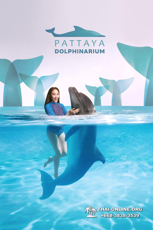 Дельфинарий Pattaya Dolphinarium экскурсия Magic Thai Online в Паттайе фото 20