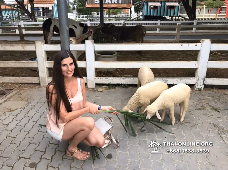 Instagram Тур Паттайя экскурсия турагентства Magic Thai Online фото 56