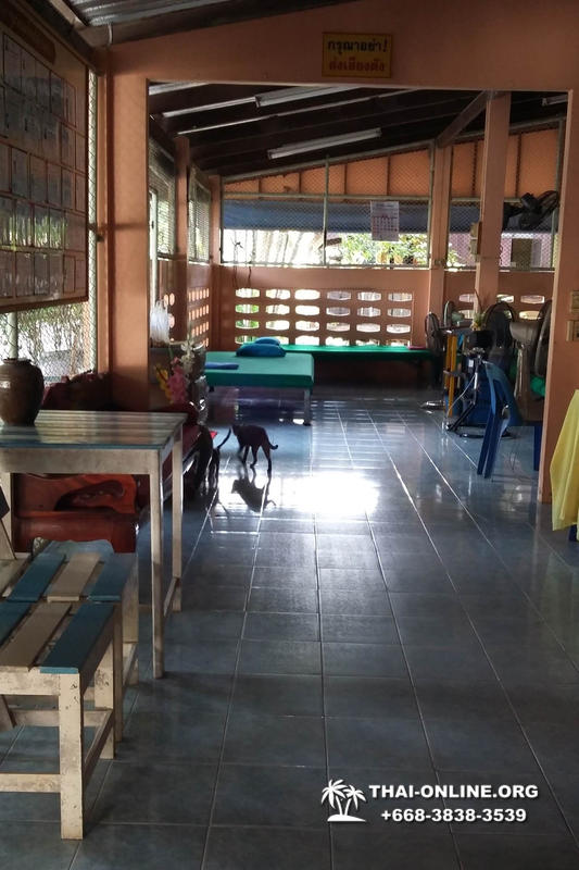 Herbal Tour фотогалерея экскурсии из Паттайя Thai-Online 2
