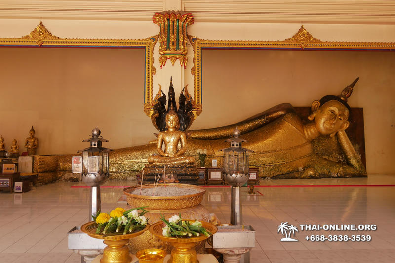 Чок Ди Тур или Herbal Tour фото экскурсии из Паттайя Thai-Online 35