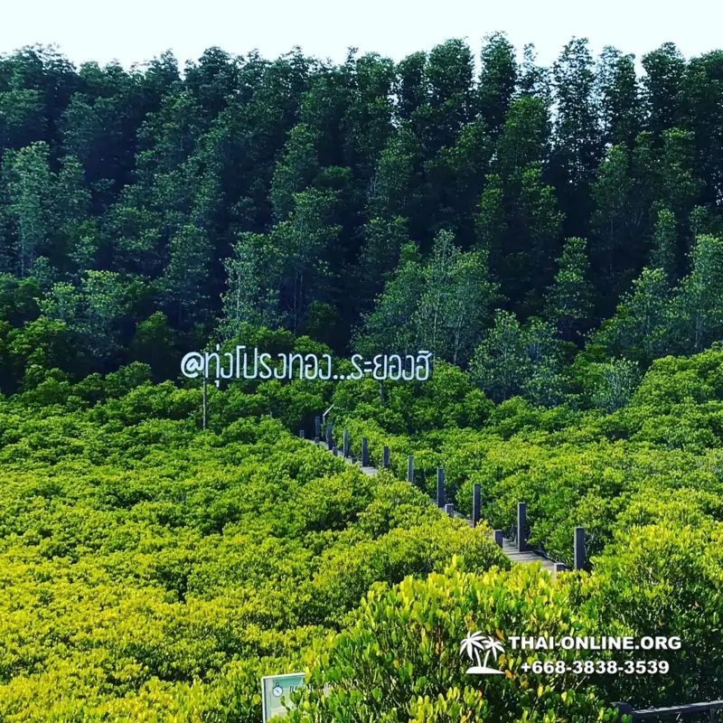 Сталкер поездка Seven Countries Таиланд - photo 124