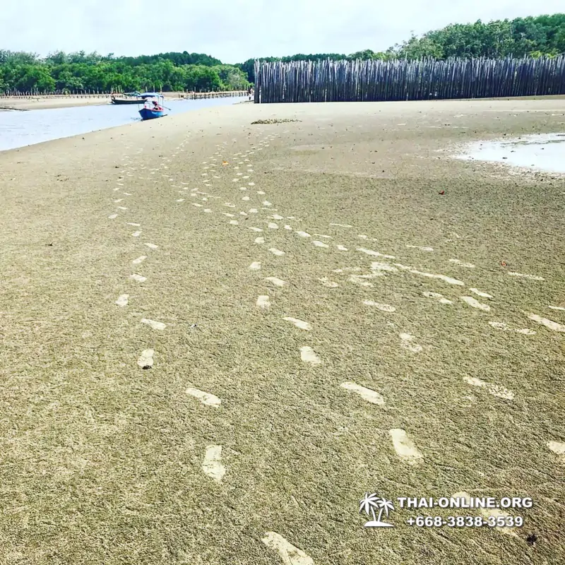 Экскурсия Сталкер в Паттайе Чантабури Таиланд - photo 127