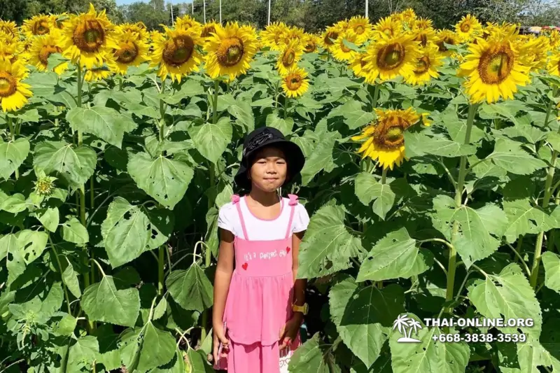 Следопыт Экспедиция экскурсия туркомпании Magic Thai Online Паттайя фото 46