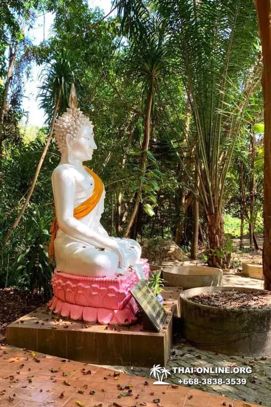 Следопыт Экспедиция экскурсия туркомпании Magic Thai Online Паттайя фото 27