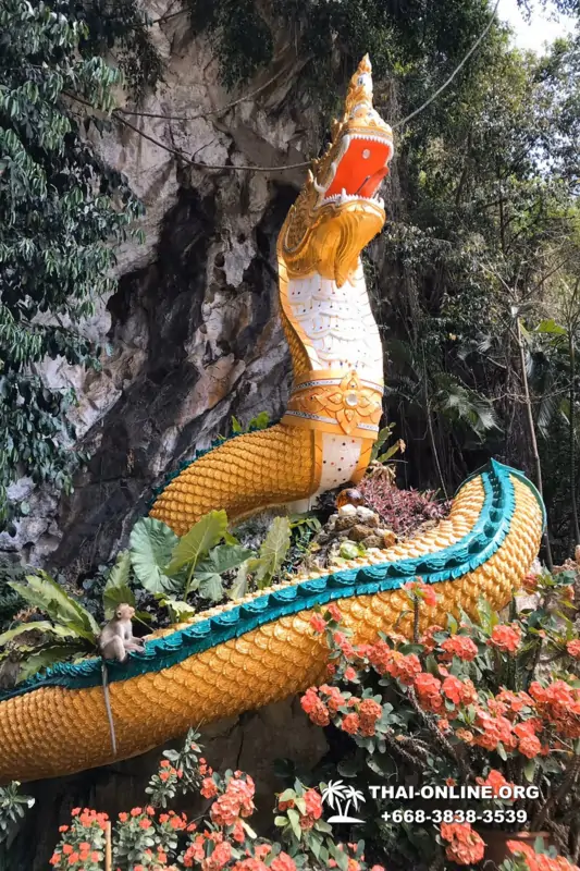 Следопыт Экспедиция экскурсия туркомпании Magic Thai Online Паттайя фото 1