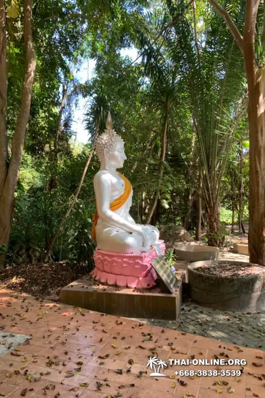 Следопыт Экспедиция экскурсия туркомпании Magic Thai Online Паттайя фото 65