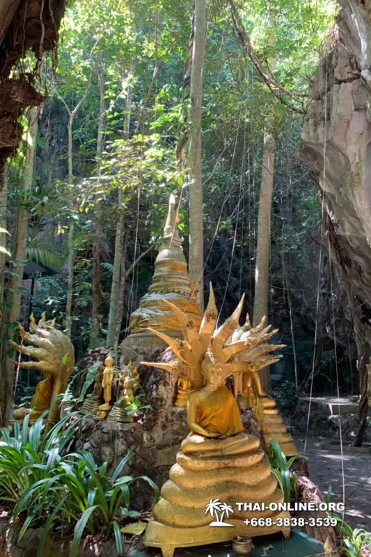 Следопыт Экспедиция экскурсия туркомпании Magic Thai Online Паттайя фото 67