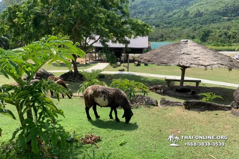 Следопыт Экспедиция экскурсия туркомпании Magic Thai Online Паттайя фото 63