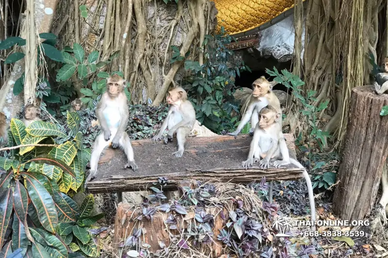 Следопыт Экспедиция экскурсия туркомпании Magic Thai Online Паттайя фото 6