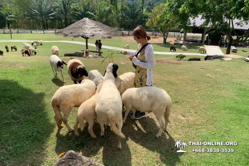 Следопыт Экспедиция экскурсия туркомпании Magic Thai Online Паттайя фото 70