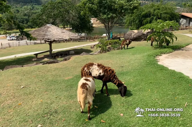 Следопыт Экспедиция экскурсия туркомпании Magic Thai Online Паттайя фото 66