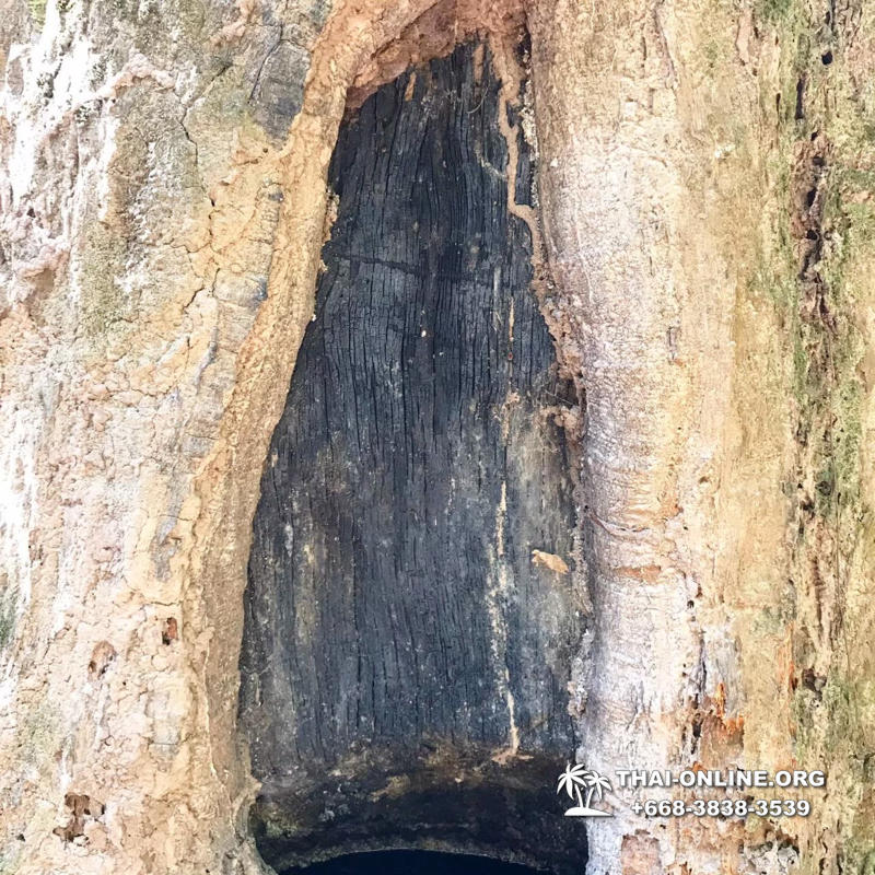 Поездка на Thi Lo Su из Паттайи - фото Thai-Online (37)