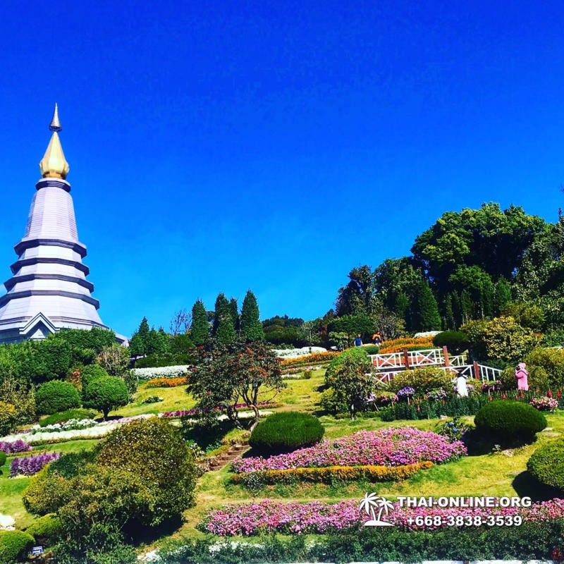 Золотой Треугольник Maximum фото поездки Thai-Online (114)