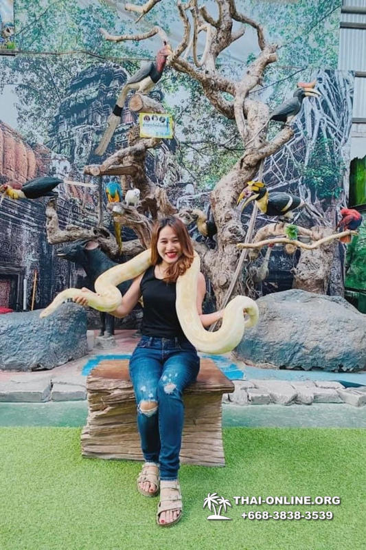 Аквариум Монстров в Паттайе экскурсия с турагентством Magic Thai Online - фото 4