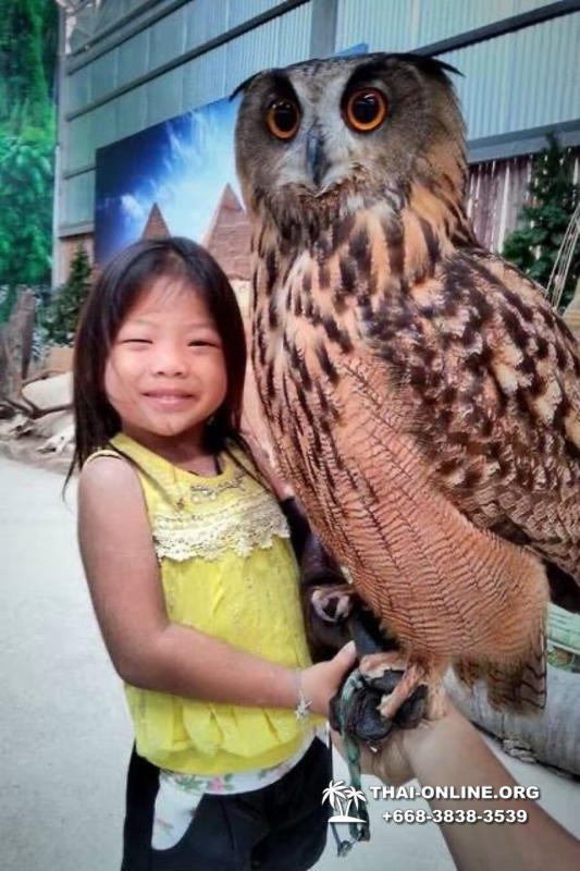 Аквариум Монстров в Паттайе экскурсия с турагентством Magic Thai Online - фото 12