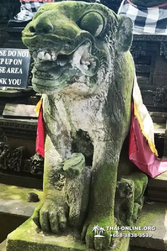 Поездка Бали Индонезия из Тайланда - фото Thai Online 140