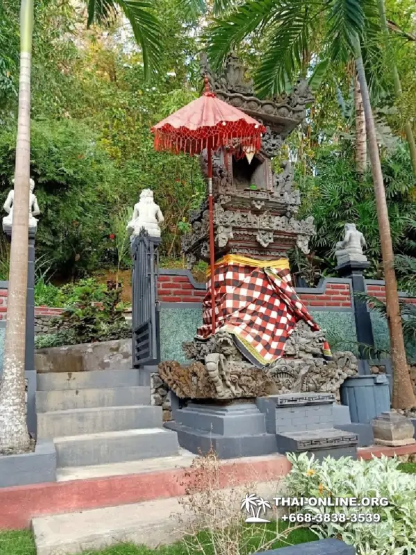 Поездка Бали Индонезия из Тайланда - фото Thai Online 114