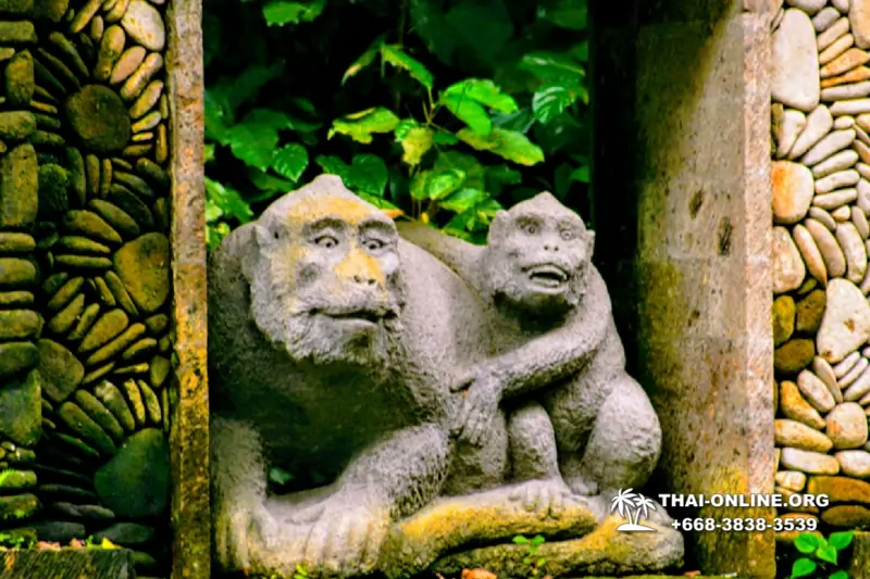 Поездка Бали Индонезия из Тайланда - фото Thai Online 137