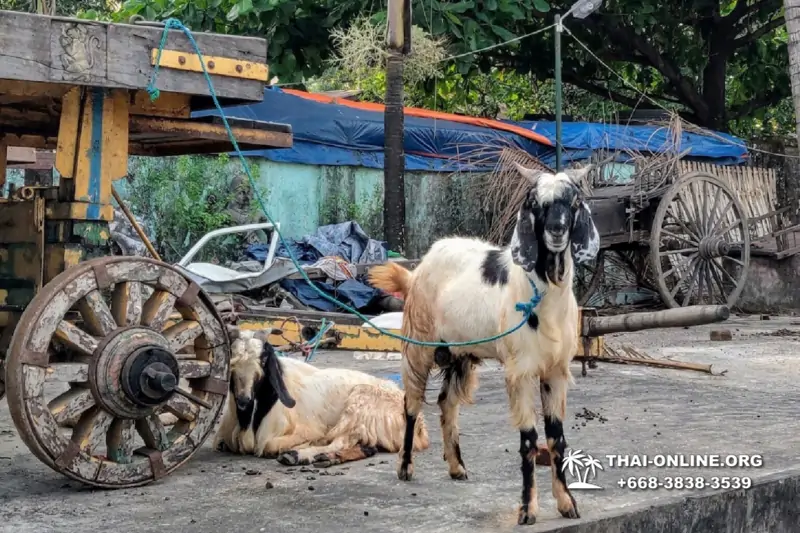 Поездка Мьянма Бурма Янгон из Тайланда - фото Thai Online 109
