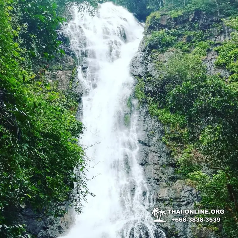 Край Водопадов Кхао Яй экскурсия в Тайланде - фото 53