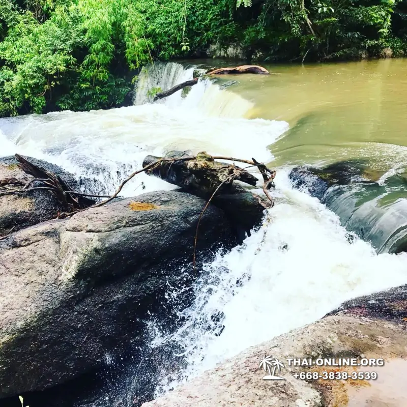 Край Водопадов Кхао Яй экскурсия в Тайланде - фото 28